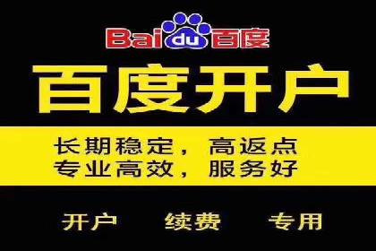 SEM网络推广案例：精准营销助力品牌成长